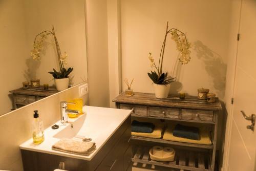 Apartamento Entre Bodegas Jerez