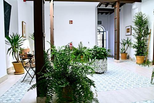 Apartamentos Tur�sticos Mamel�n