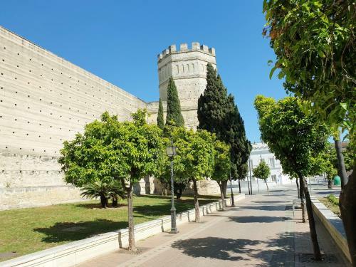 Apartamento Sherryflat Plaza Del Arenal
