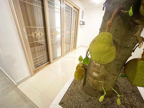 Tiverton Homestay
