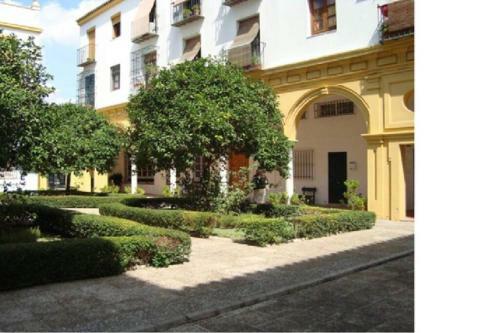 C�ntrico Y Amplio Apartamento 100% Equipado