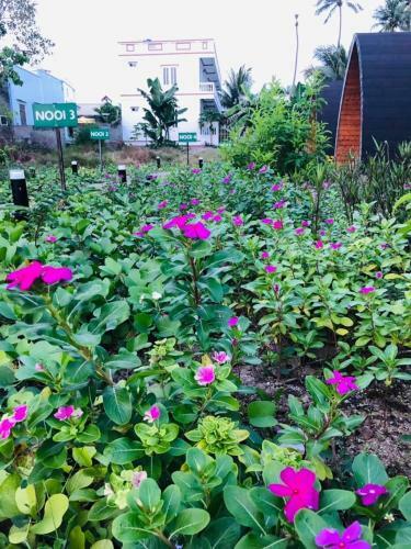 Nooi Homestay Living