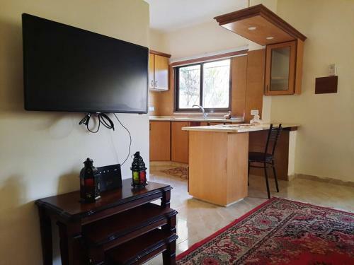 Apartamento Roman Pool (madaba)