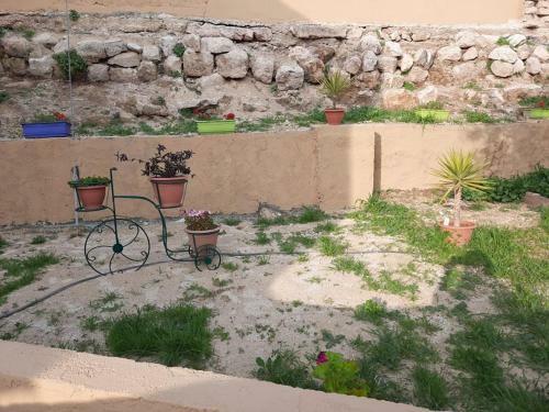 Apartamento Roman Pool (madaba)