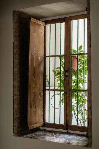Apartamento Casa M�a