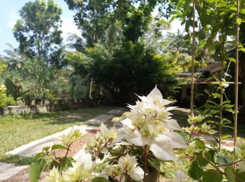 Hotel Ging View Villa