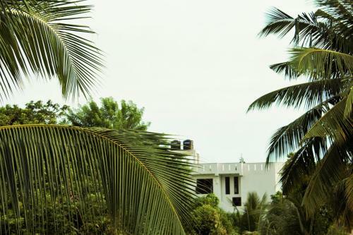 Bed & Breakfast Sky White Villa