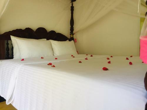 Bed & Breakfast Room One Dadalla