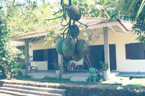 Kunandura Villa