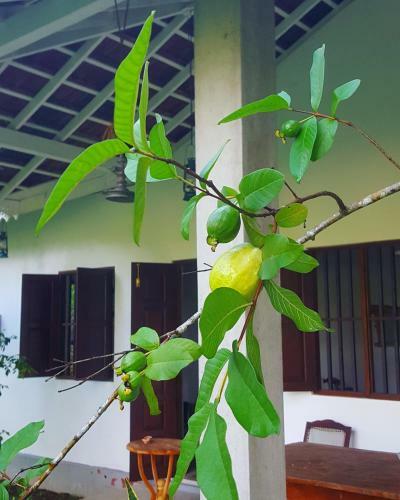 Kunandura Villa