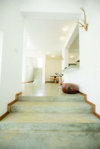 Villa Green Bamboo