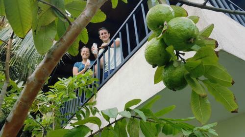 Agroturismo Coco Rooms