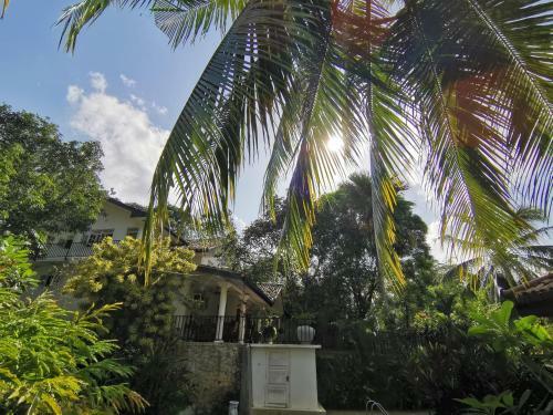Villa Caroline