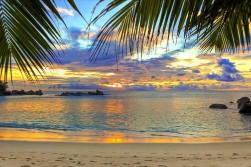 Apartamento Surf Lodge