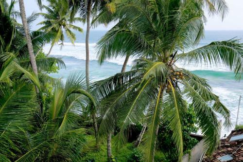 Hotel Jayaa Beach