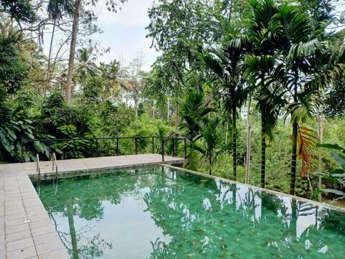 Bed & Breakfast Baheda House