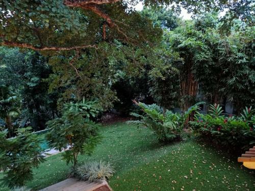 Bed & Breakfast Baheda House