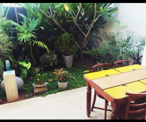 Surf Villa