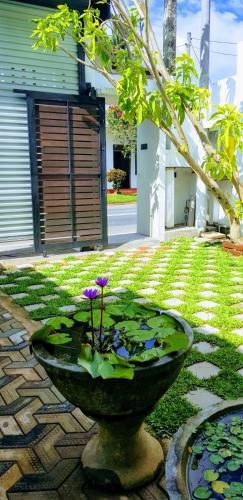 Apartamento Ranil Villa