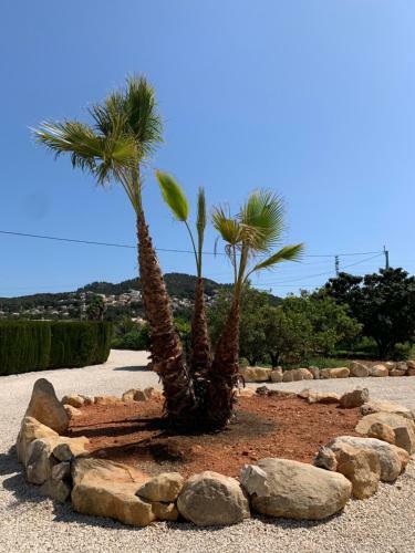 Bed & Breakfast Finca Bona Nit