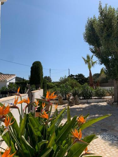 Bed & Breakfast Finca Bona Nit