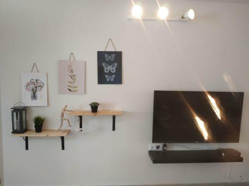 White Butterflies Apartment