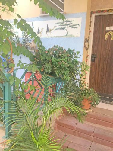 Eilat Art House