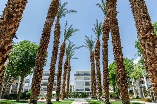 Apartamento ???? ?? ???? ?????? - Pool Garden View