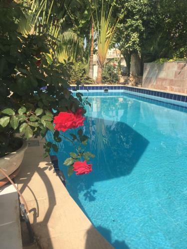Villa Loft With Pool 20m Length Heated , 300m From Sea