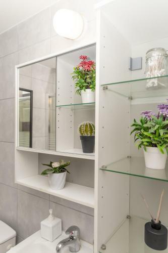 Apartamento ?????? ??? - Studio Lia