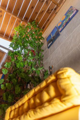 Apartamento ?????? ??? - Studio Lia