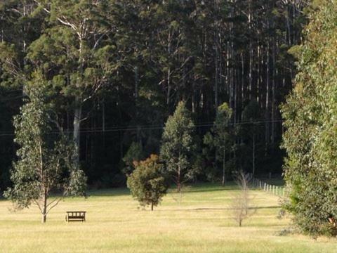 Big Brook Cottages