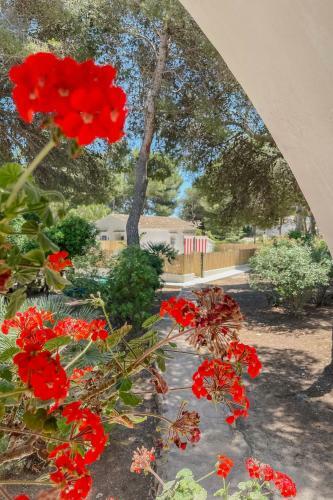 Apartamento Quinta La Sal