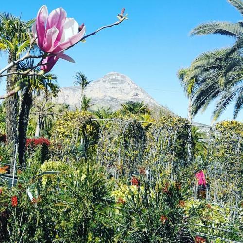Apartment Paca Javea