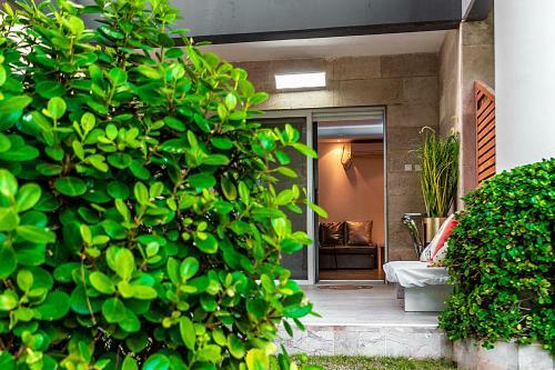 Apartamento Garden Suite & Pool
