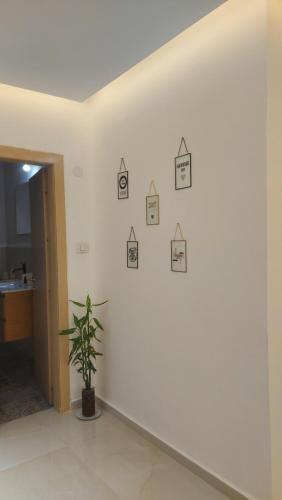 Apartamento ???? ????
