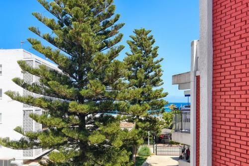 Apartamento Monada