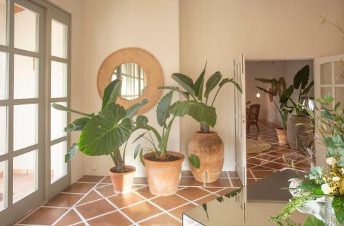 Hotel Ritual de Terra & Spa