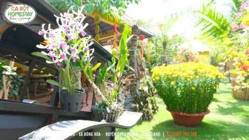 Lodge Carot Homestay Ti?n Giang