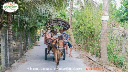 Lodge Carot Homestay Ti?n Giang