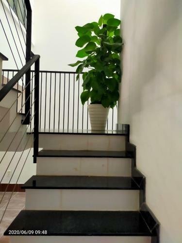 Hotel Samba Hue Hostel