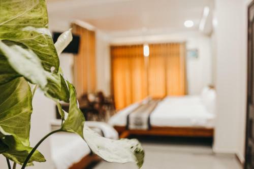 Ngoc Linh Motel