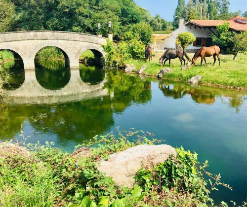 Lodge Finca Briab�