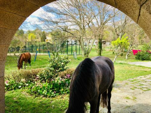 Lodge Finca Briab�