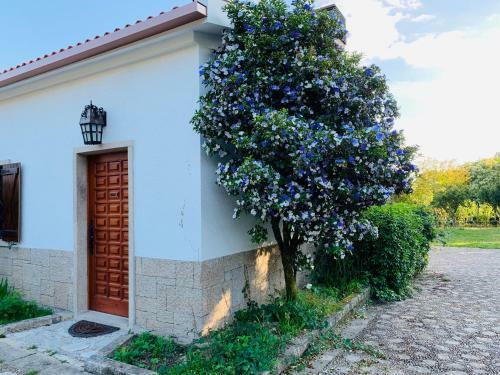 Lodge Finca Briab�