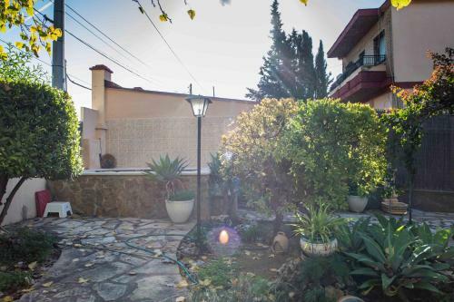 The Orange Lemon Tree House