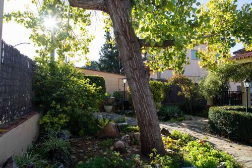 The Orange Lemon Tree House