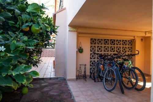 The Orange Lemon Tree House
