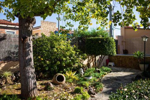 The Orange Lemon Tree House
