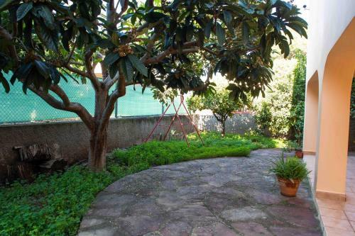The Orange Lemon Tree House